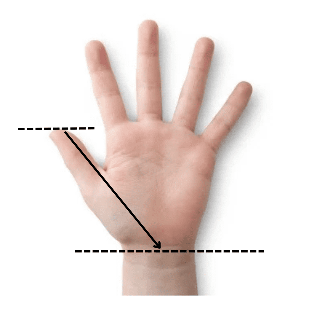 Pinky To Thumb Measurement